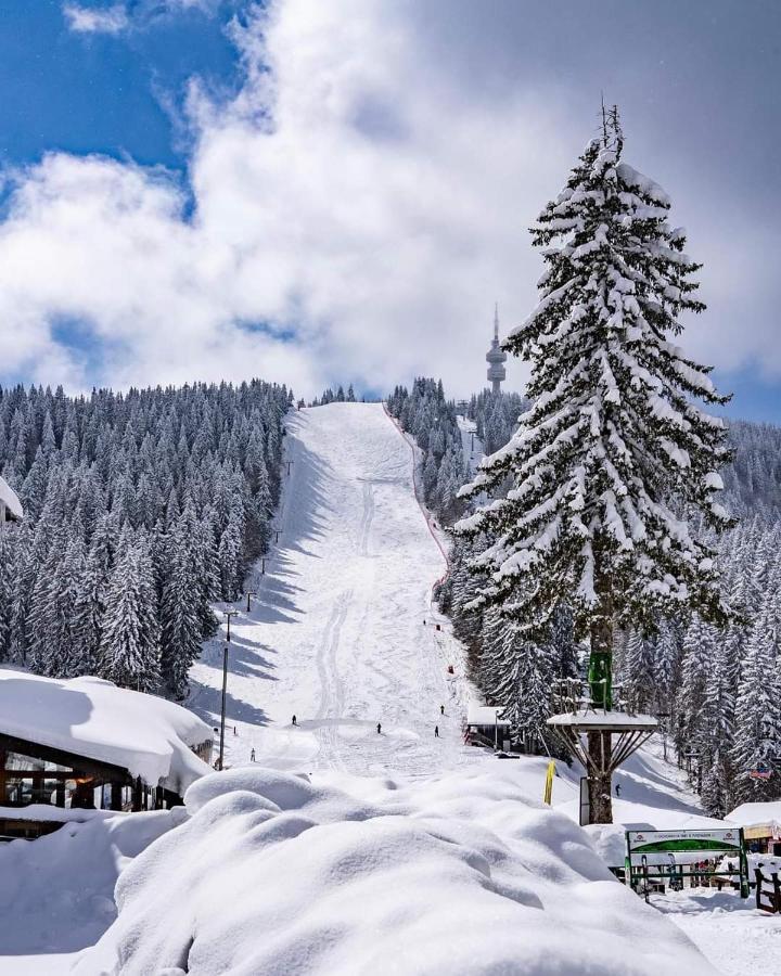 Мезонет Лапландия Pamporovo Bagian luar foto